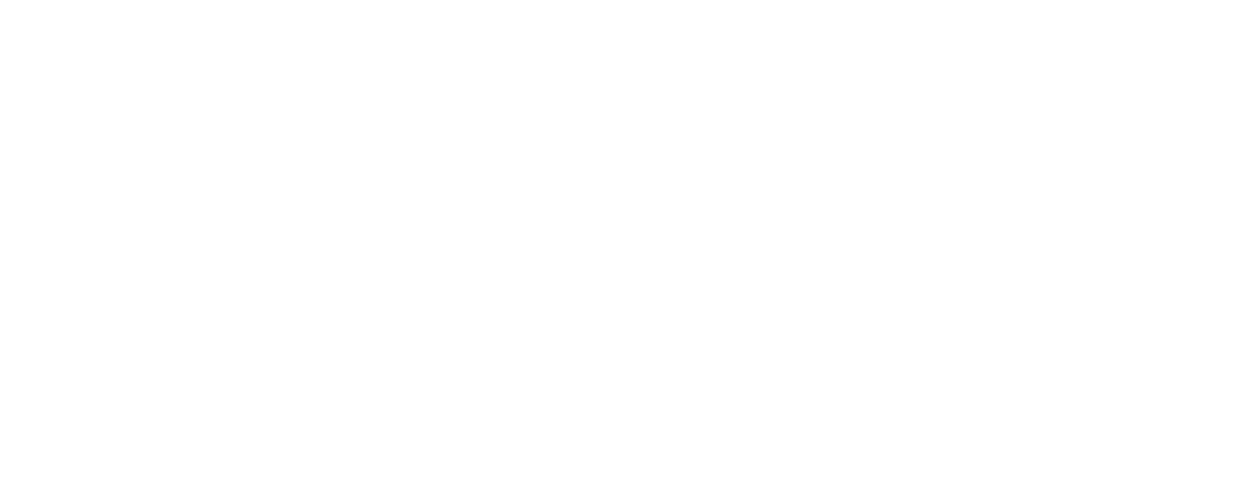Logo UDG